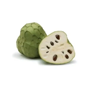 CHIRIMOYA
