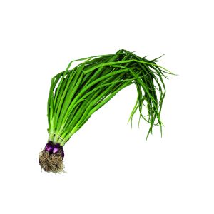 CIBOULETTE