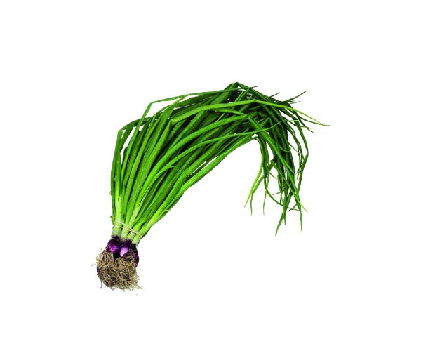 CIBOULETTE