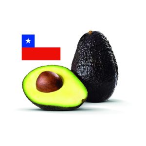 PALTA HASS CHILENA PREMIUM (KG)