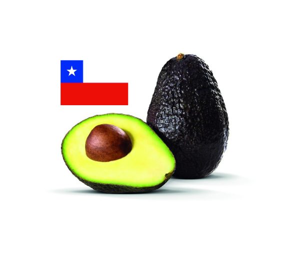 PALTA HASS CHILENA PREMIUM (KG)