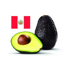 PALTA HASS PERÚ MEDIANA