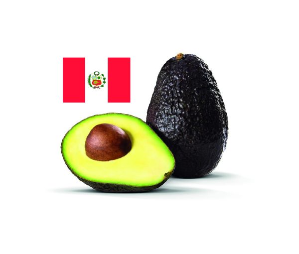 PALTA HASS PERÚ MEDIANA (KG)