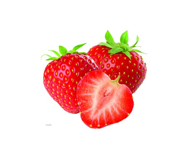 FRUTILLAS POTE O,5 GRS