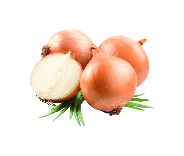 CEBOLLA (KG)