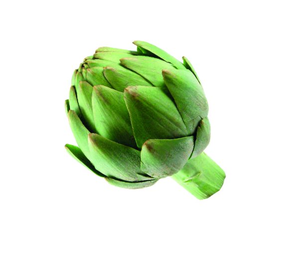 ALCACHOFA