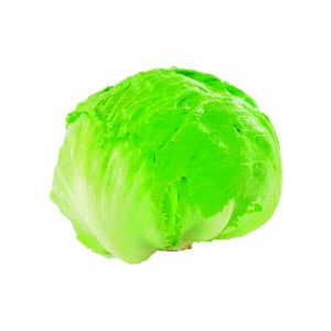 LECHUGA ESCAROLA