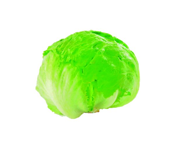 LECHUGA ESCAROLA